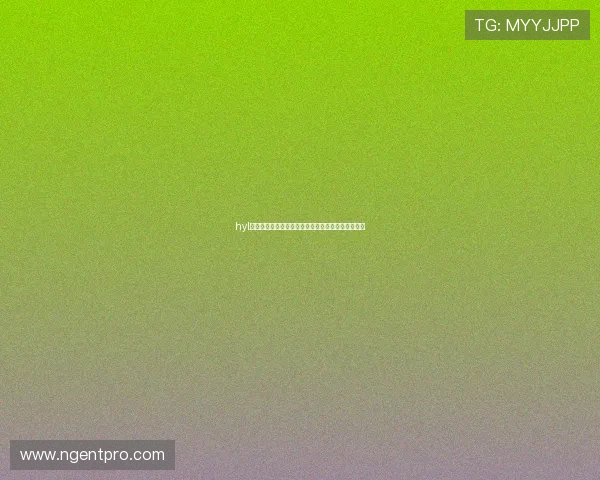 hyl娱乐：世界杯冠军预测与夺冠热门球队最新动态分析